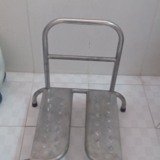Ghế Rửa Vệ Sinh